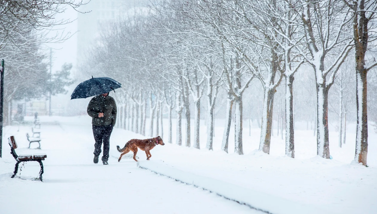 ¿Qué ocurre si no se puede ir a trabajar debido a las circunstancias climatológicas?