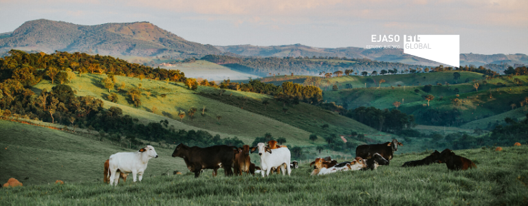 De la grave situación de las explotaciones agrícolas y ganaderas durante el Estado de Alarma