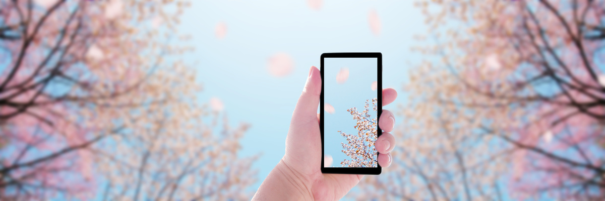 Prohibidas las conductas desleales del master franquicia de una empresa de telefonía