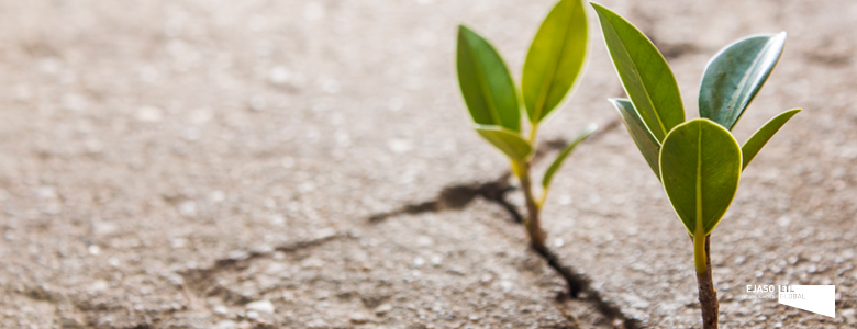 Requisitos para acceder a la Ley de la Segunda Oportunidad