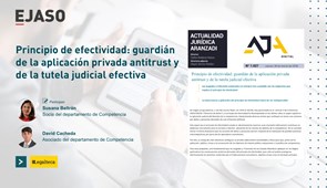 Principio de efectividad: guardián de la aplicación privada antitrust y de la tutela judicial efectiva