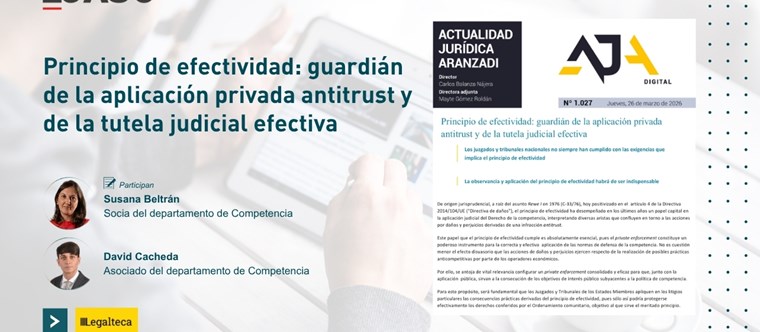Principio de efectividad: guardián de la aplicación privada antitrust y de la tutela judicial efectiva
