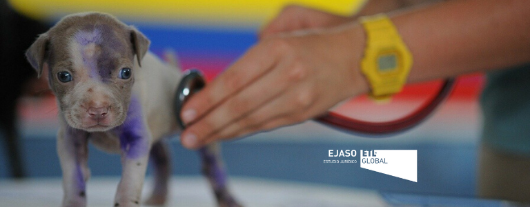 Las novedades del I Convenio Colectivo Nacional de Centros y Servicios Veterinarios