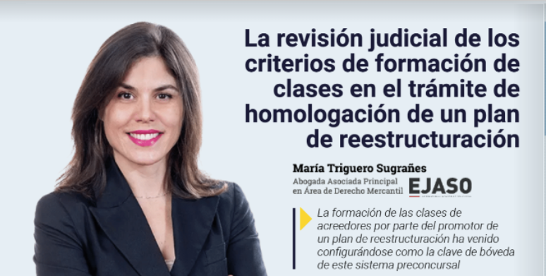 La revisión judicial de los criterios de formación de clases en el trámite de homologación de un plan de reestructuración | AJA