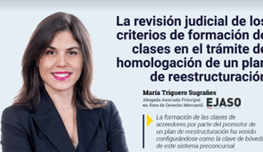 La revisión judicial de los criterios de formación de clases en el trámite de homologación de un plan de reestructuración | AJA