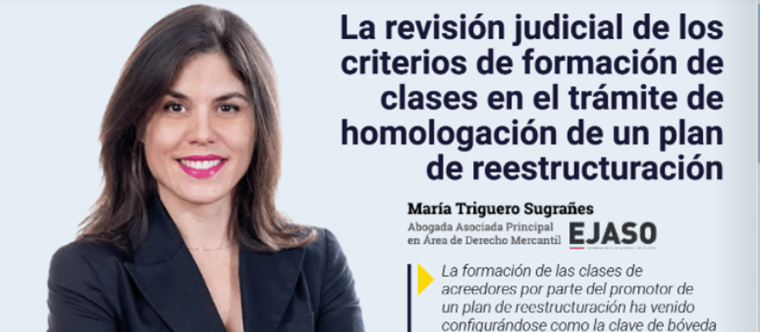 La revisión judicial de los criterios de formación de clases en el trámite de homologación de un plan de reestructuración | AJA