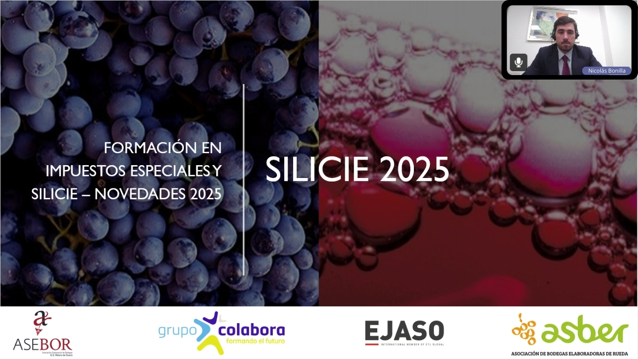 Formación sobre Impuestos especiales y SILICIE – Novedades 2025 en colaboración con Grupo Colabora, ASEBOR y ASBER