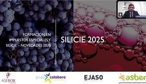 Formación sobre Impuestos especiales y SILICIE – Novedades 2025 en colaboración con Grupo Colabora, ASEBOR y ASBER