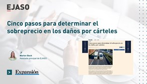 Cinco pasos para determinar el sobreprecio en los daños por cárteles | Expansión