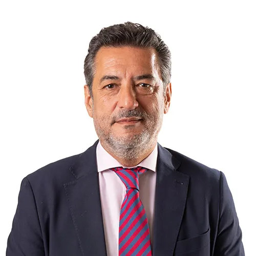 Gonzalo Grandes Hernández